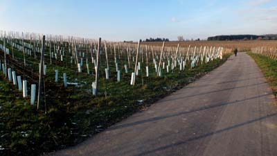 ehn-2016-01-21-106b
