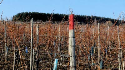 ehn-2017-02-13-015