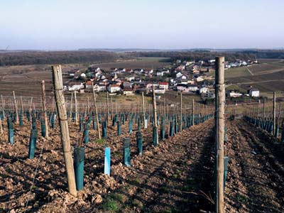 ehn-2017-02-13-035a