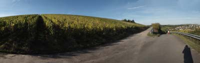 ehn-2021-10-15-083pan