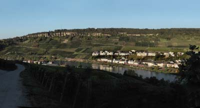 mat-2021-10-10-146pan