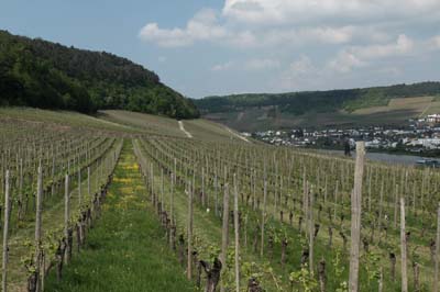mat-2022-05-08-121