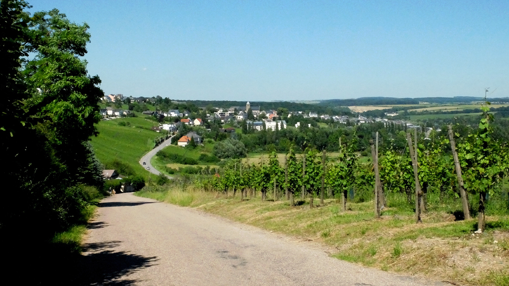 Accueil
