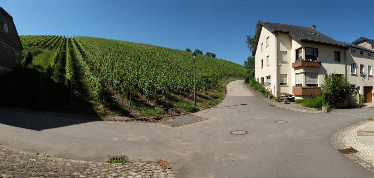 Accueil
