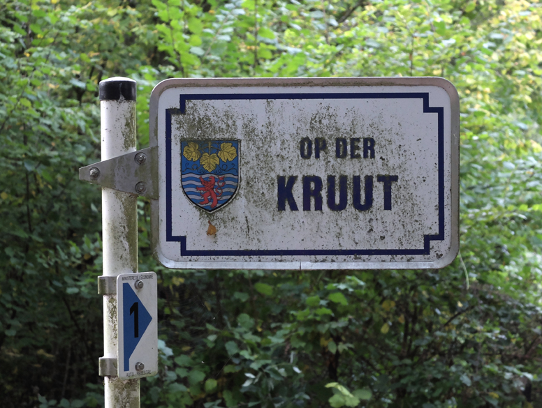 Accueil