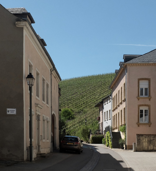 Accueil