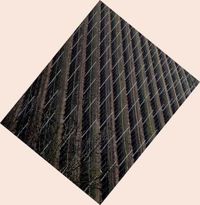 bek-2019-02-13-036a3