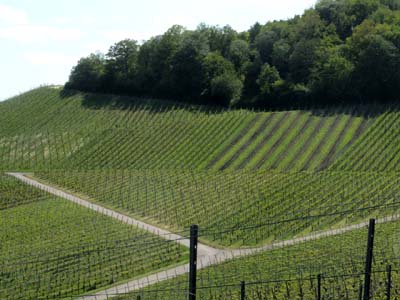 bek-2023-05-19-008