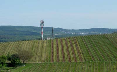 bek-2023-05-19-015