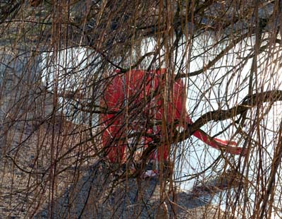 remer-2019-01-20-022