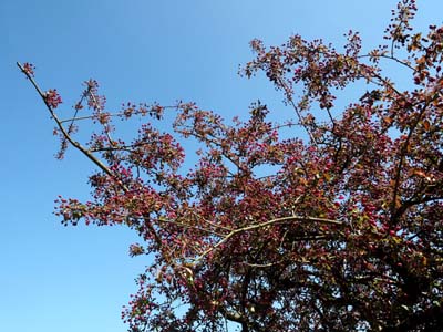 sch-2015-04-23-014