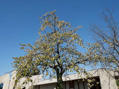 sch-2015-04-23-047