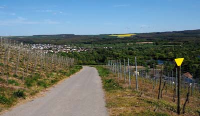 schweb-2017-05-01-161