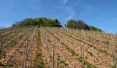 schweb-2017-05-01-163