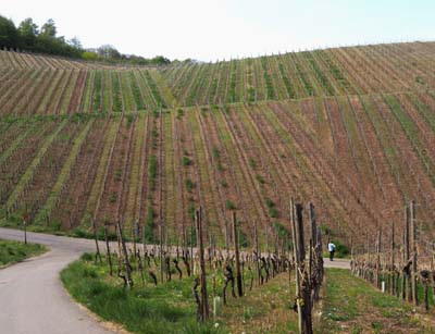 schweb-2017-05-01-178a