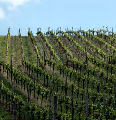schweb-2019-05-25-102
