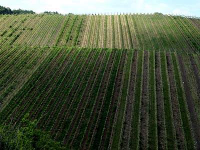 schweb-2019-05-25-110a