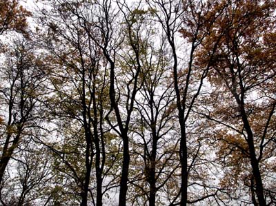 cle-2008-10-22-033a