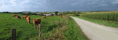 chr-2014-09-15-407-pan1