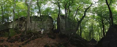 mul-2014-09-15-234-pana1