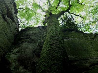 mul-2014-09-15-293a