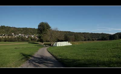 reis-2021-10-12-018pan
