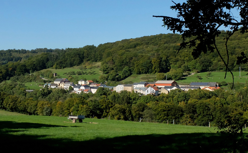 Accueil