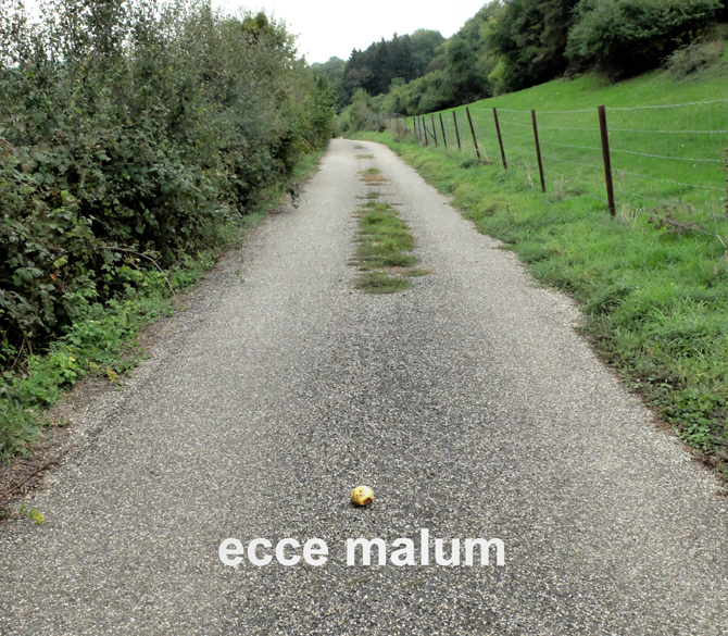 Accueil