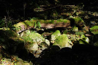 bor-2015-10-01-059-f