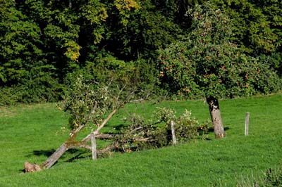 bor-2015-10-01-063-f