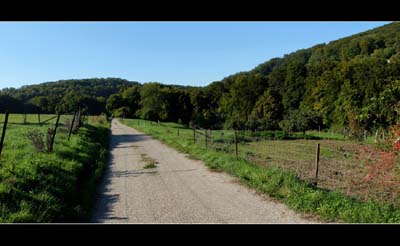 bor-2015-10-01-073-f-pan