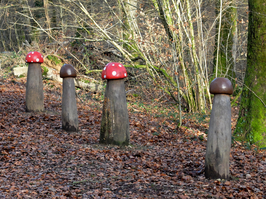 Accueil