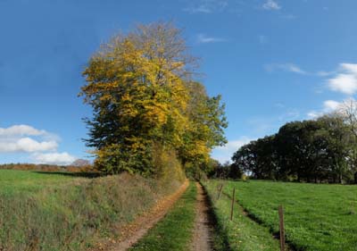usel-2022-10-22-007pan
