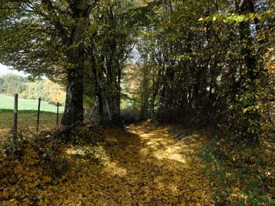 usel-2022-10-22-014