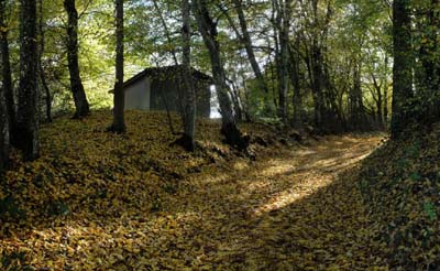 usel-2022-10-22-017pan