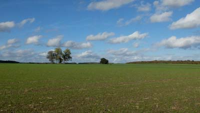 usel-2022-10-22-051