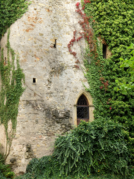 Accueil