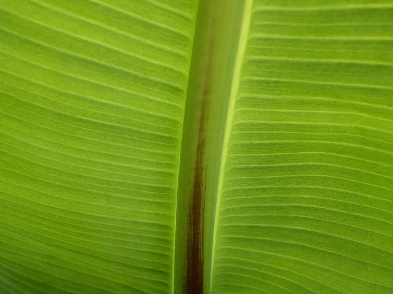 Accueil