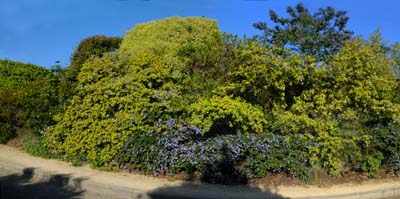 2017-04-21-055-pano