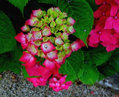 2017-07-02-006a