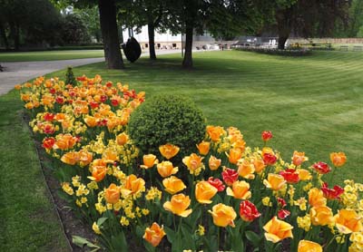 2019-05-06-210