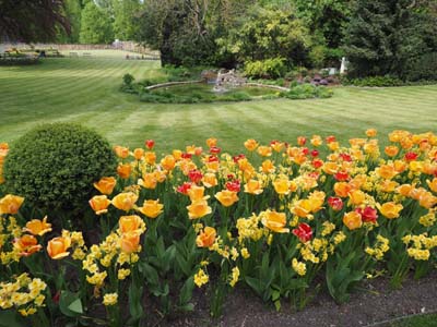 2019-05-06-238
