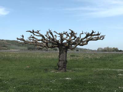 2022-04-16-001