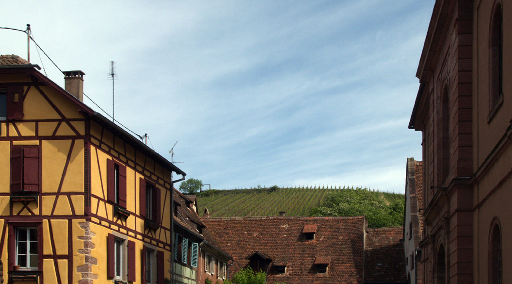 Accueil