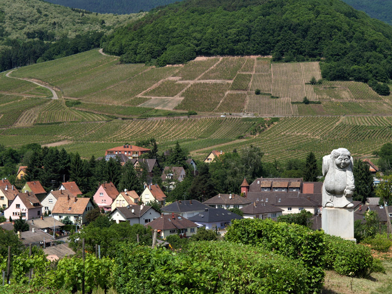 Accueil