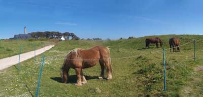 2023-04-17-606-pano