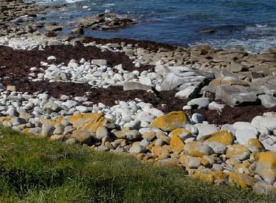 2024-04-18-572 - pano