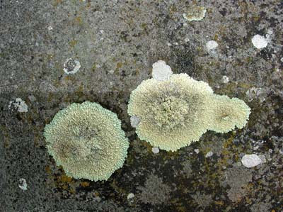 0_abstrait_010