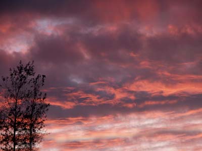 2011-08-08-001a