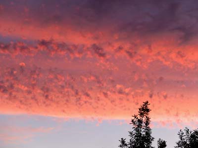 2015-07-10-005